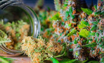 marijuana